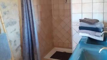 Shower, towels, toilet paper