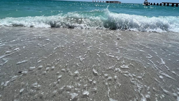 Une plage avec des vagues, un ciel dégagé et une jetée qui se profile à l’horizon.