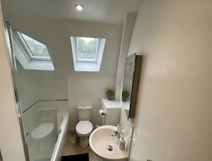 A compact bathroom with a skylight, a toilet, a sink, and a shower. - Detached Cottage with private garden and hot tub. (St Austell)