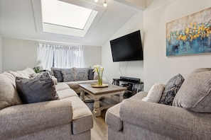 Smart TV, fireplace, books