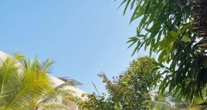 Un Oasis en Plein Saly