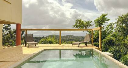 El Yunque Rainforest Villa, Pool, Toro Trail, 5-Acre Hacienda, Fruit Trees