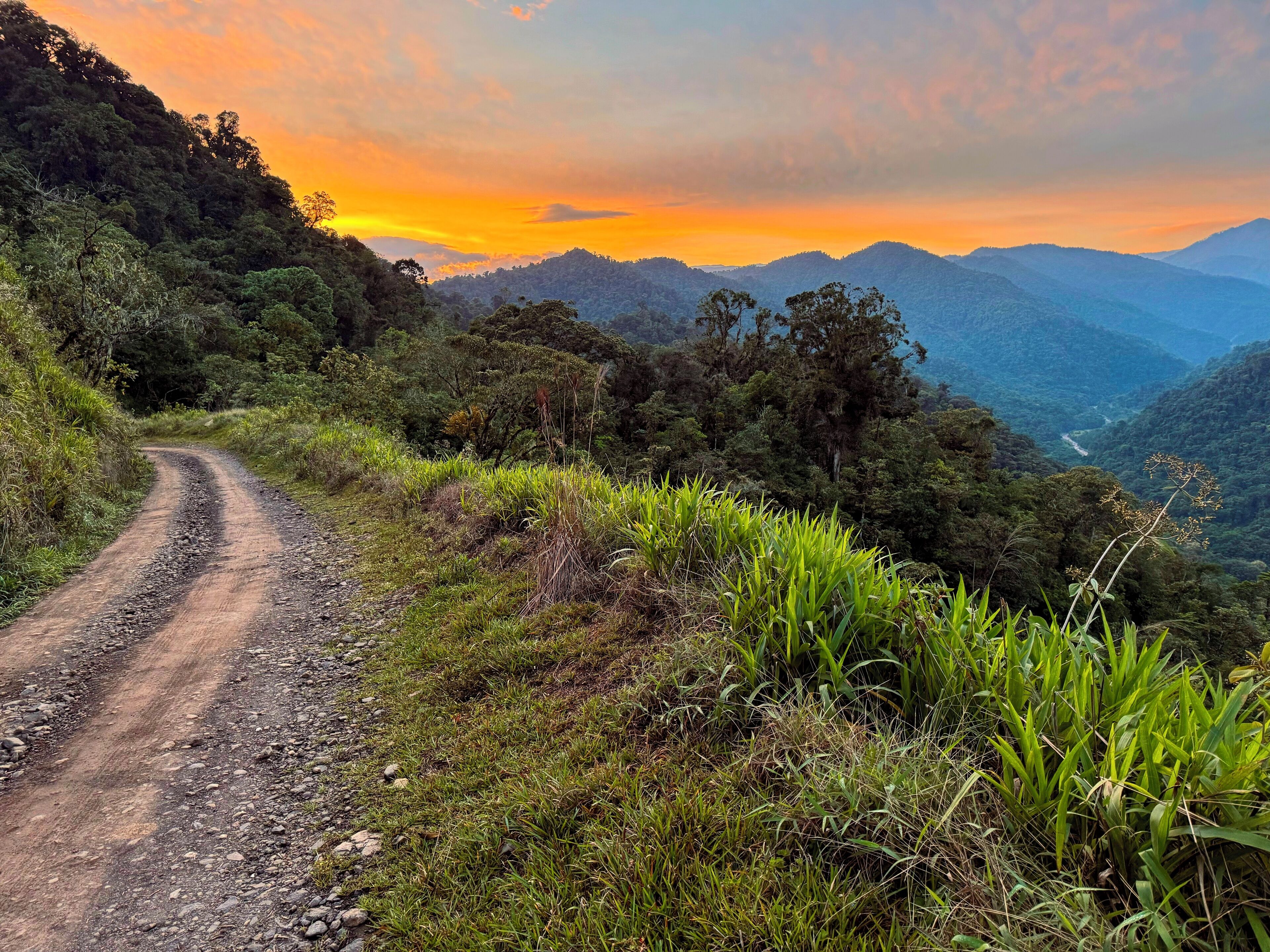 1 bedroom, desk, free WiFi, bed sheets