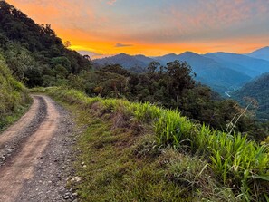 1 habitación, escritorio, wifi gratis y ropa de cama 