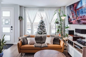 TV, fireplace, video games, DVD player