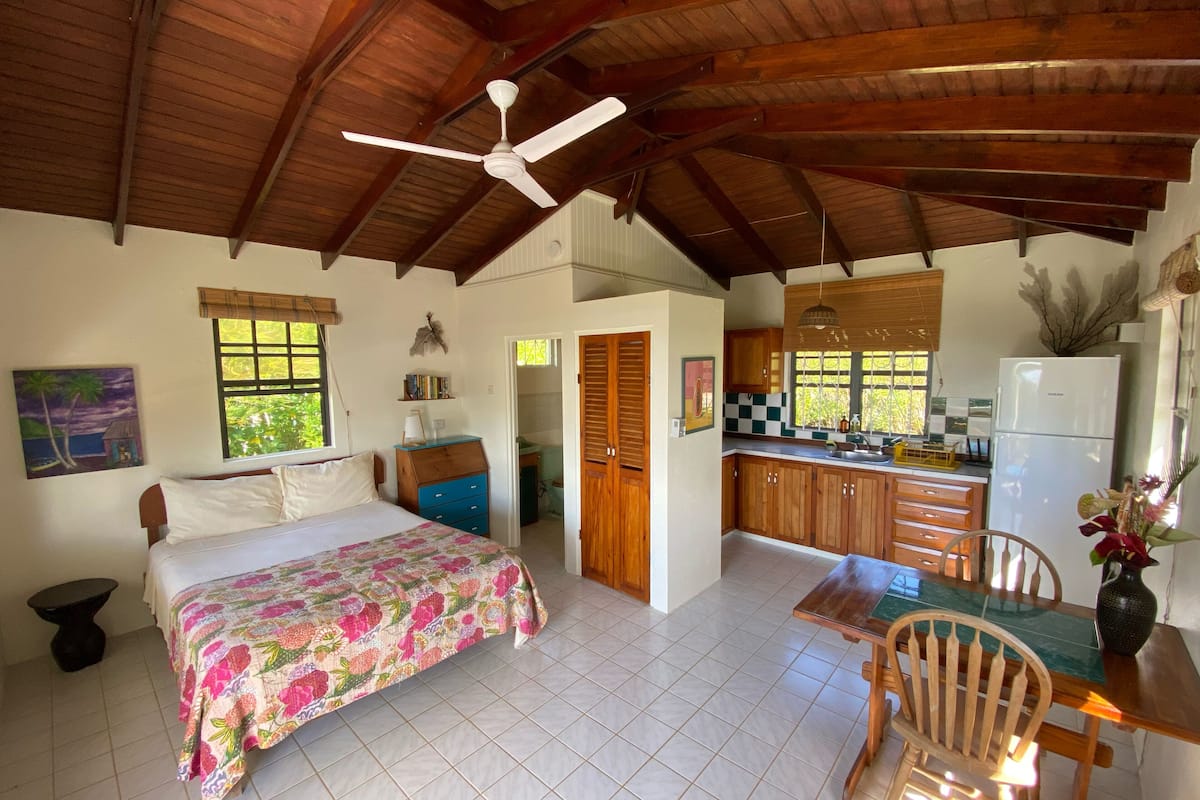A spacious room with a bed, a dining table, and a kitchen area.