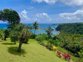 Un paisaje verde exuberante con vista al océano y un cielo despejado.