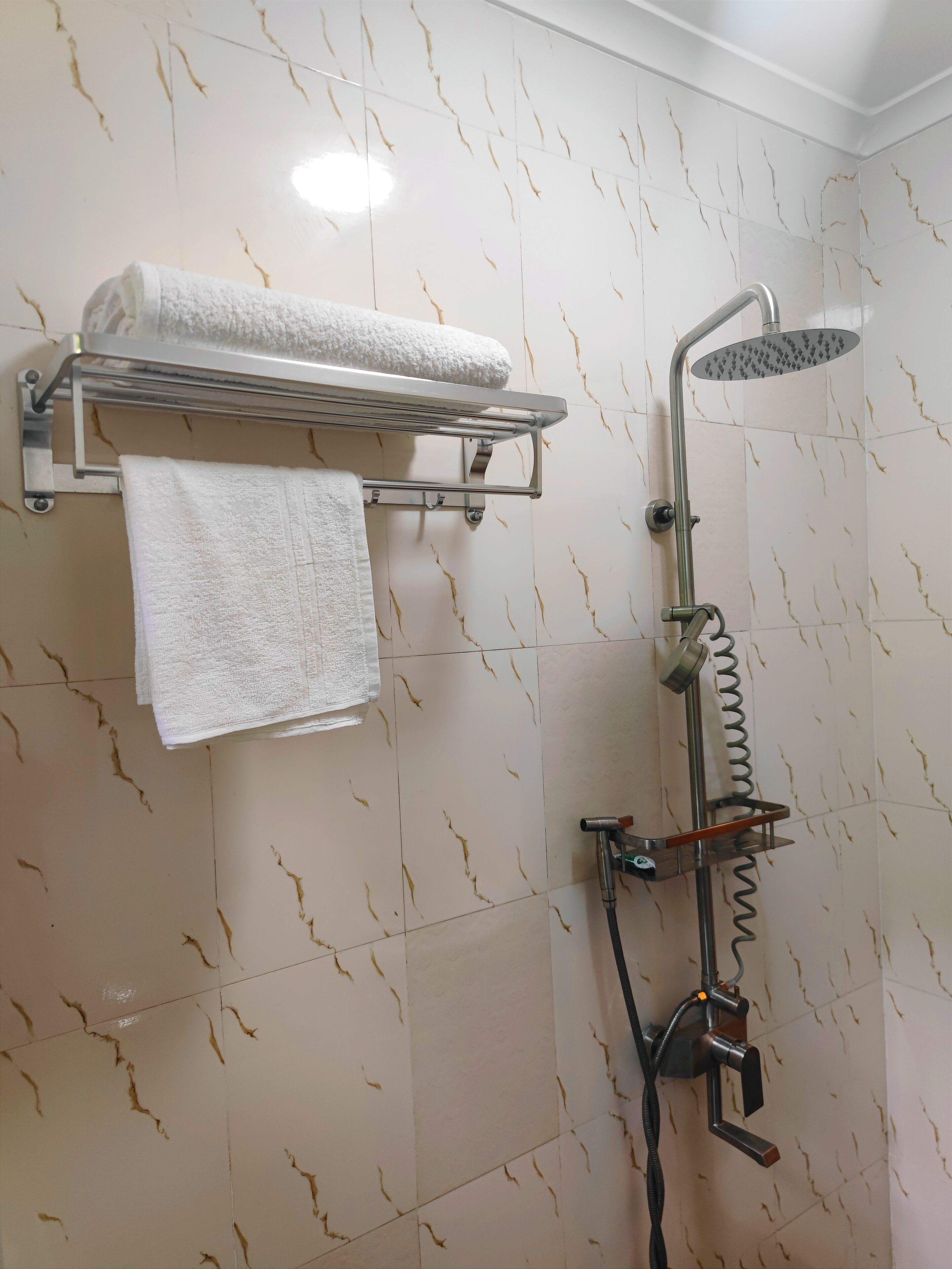 Ein Badezimmer mit Dusche, Handtuchhalter und Ablagefläche.