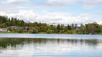 A lakeside view with houses and trees.
