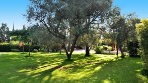 Un parque bien cuidado con árboles maduros, cielo despejado y césped impecable.