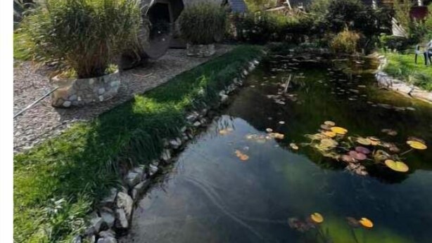 A serene landscape with a pond, a small bridge, and traditional buildings. - 4 Elements Resort Bled Studio Standard (Radovljica)