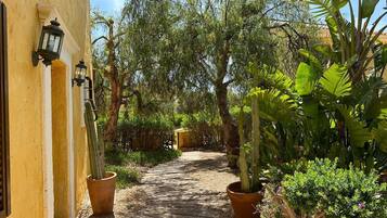Villa, 4 slaapkamers (PV4) | Terras