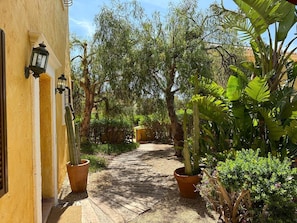 Un chemin bordé de plantes en pot et un bâtiment jaune avec une porte.