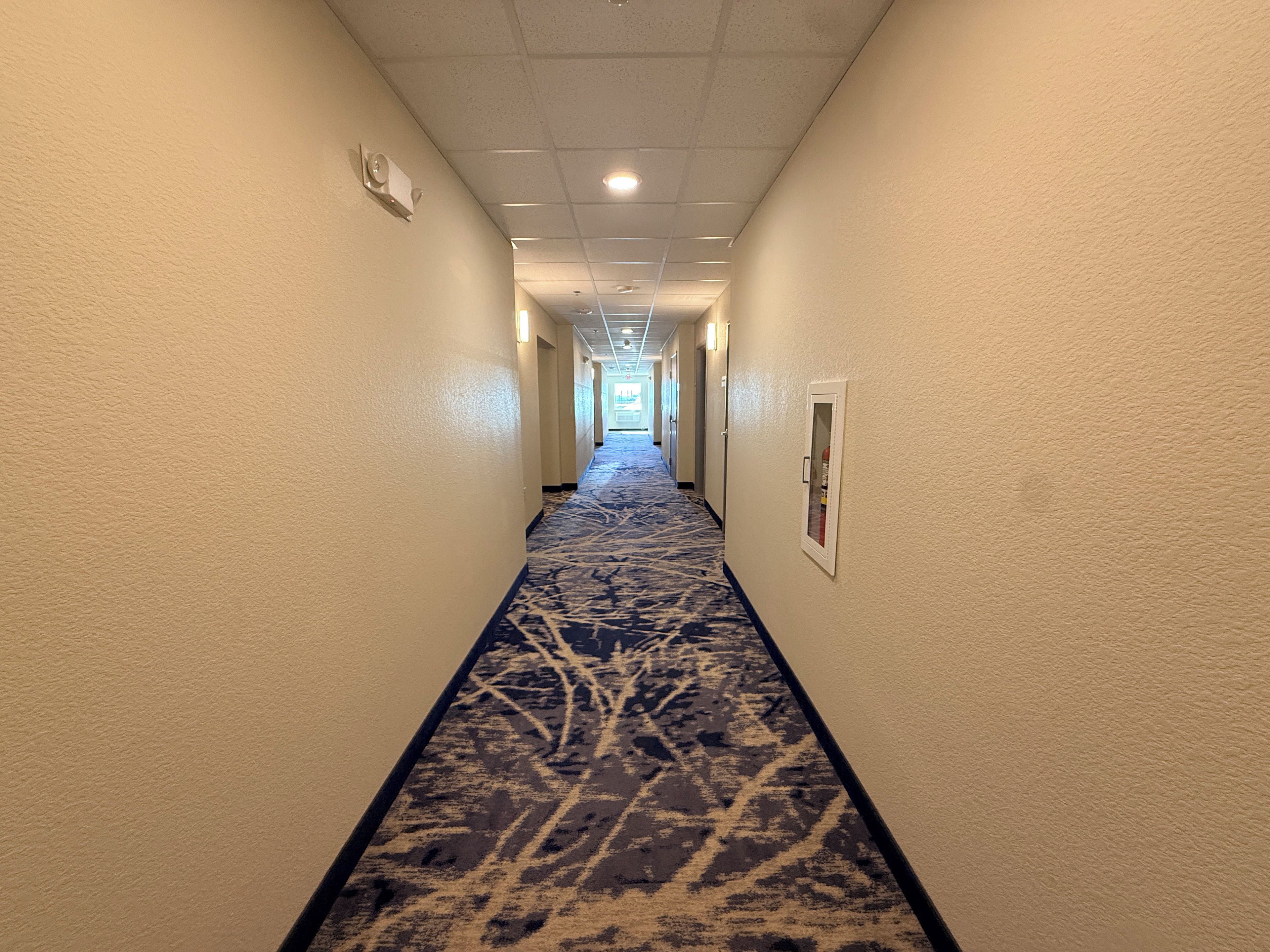 A hotel hallway with carpeted flooring and doors on both sides leading to rooms.
