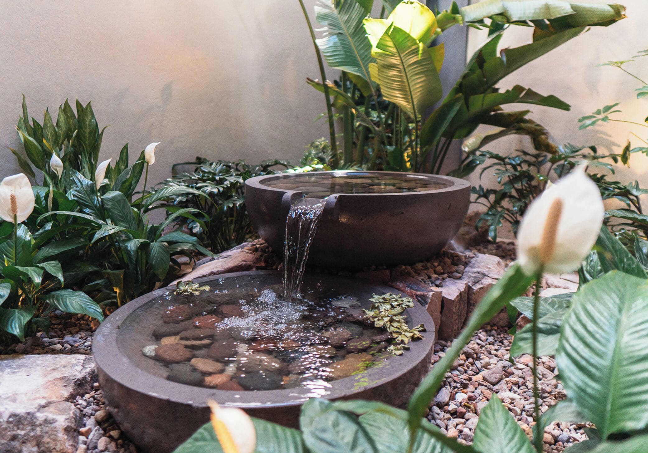Una fuente con un recipiente y una cascada, rodeada de abundante follaje y plantas.