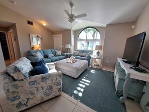 Smart-TV, DVD-Player, Bücher, Musikbibliothek