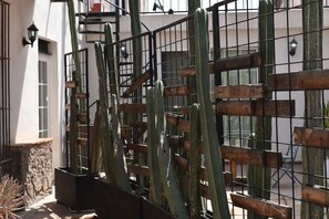 Un jardin de cactus, délimité par une clôture en métal et des planches de bois, situé devant un bâtiment doté de fenêtres et d’un mur en pierre.