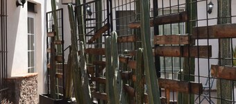 Historical Beautiful Downtown Apartment Ugalde