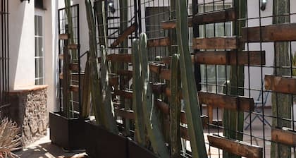 Historical Beautiful Downtown Apartment Ugalde