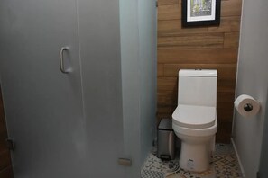 Douche, sèche-cheveux, serviettes fournies, savon