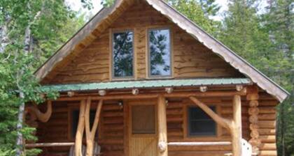 Papins Resort Woods Cabin