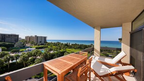 Relax on the balcony with a view of the ocean and lush lawn, surrounded by palm trees.