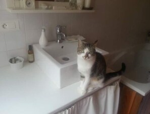 Interior - Agréable Maison Bois à la Campagne (Quéménéven)