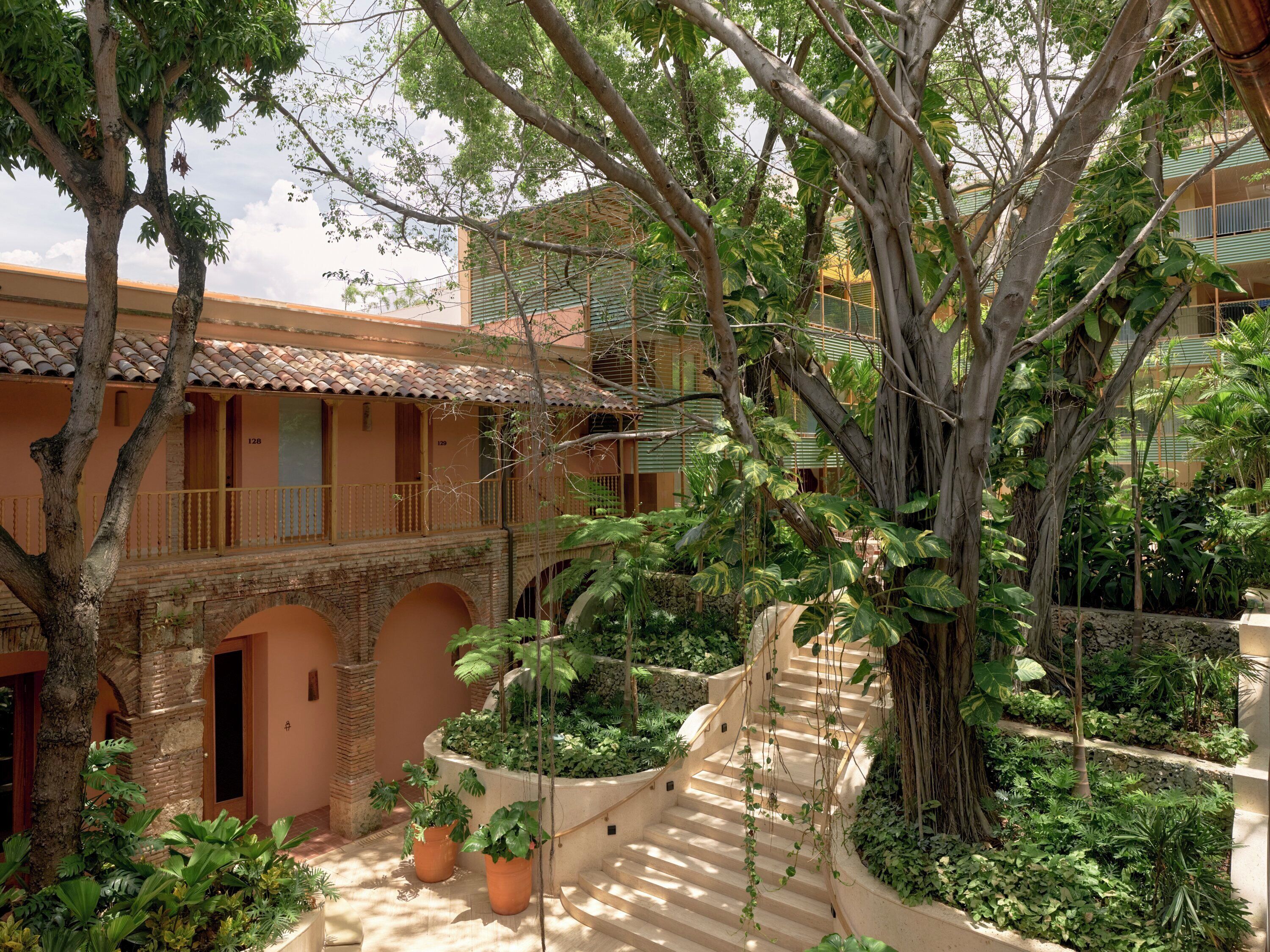 A courtyard with a staircase, potted plants, and a tree.