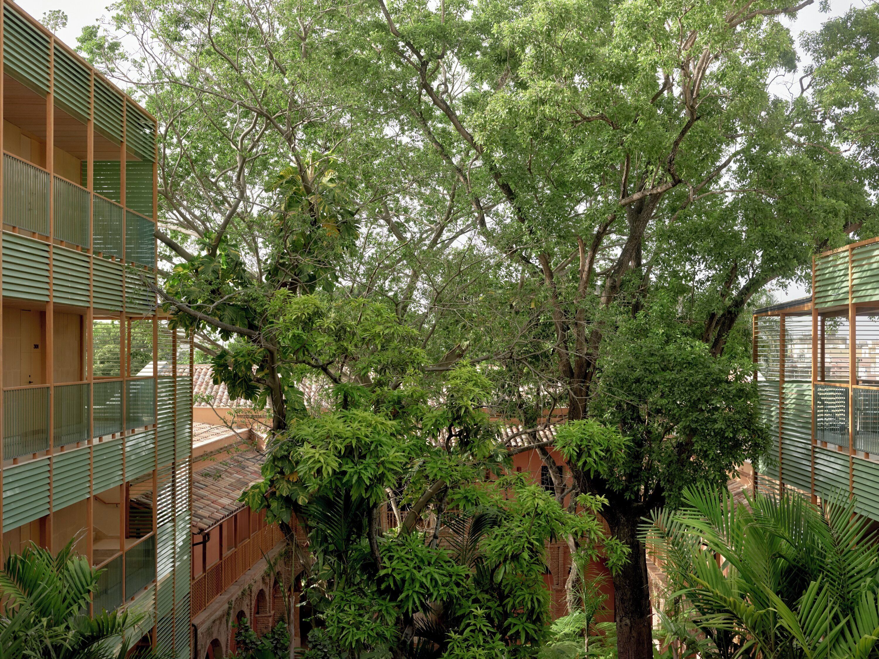 Une cour intérieure avec un grand arbre, entourée de bâtiments dotés de balcons en métal vert.