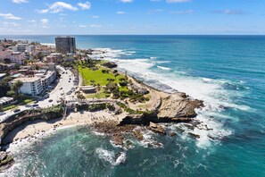 Beach - Spacious 3 bed 2 bath La Jolla Village Ocean View Home. (San Diego)