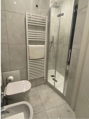 Regadera, secadora de cabello, bidet, toallas 