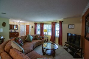 Smart TV, chimenea, reproductor de DVD y libros 