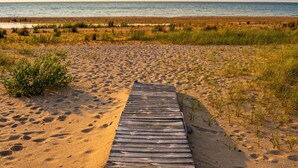 Une promenade en bois qui mène à une plage de sable où la végétation est clairsemée.