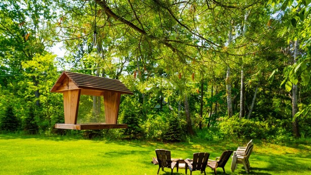 Une nichée à oiseaux en bois, suspendue à une branche d’arbre dans un jardin verdoyant, avec trois chaises et une table.
