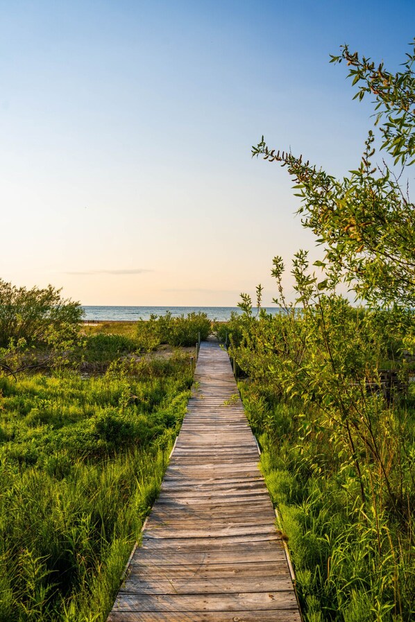 A wooden boardwalk leading to a beach, surrounded by lush greenery.