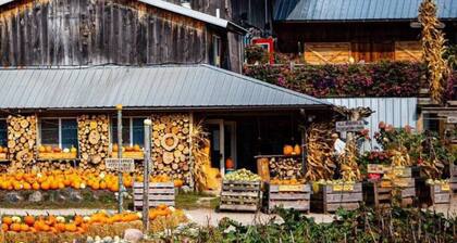 Spirit Lake Retreat - Suite J