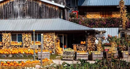 Spirit Lake Retreat - Suite D