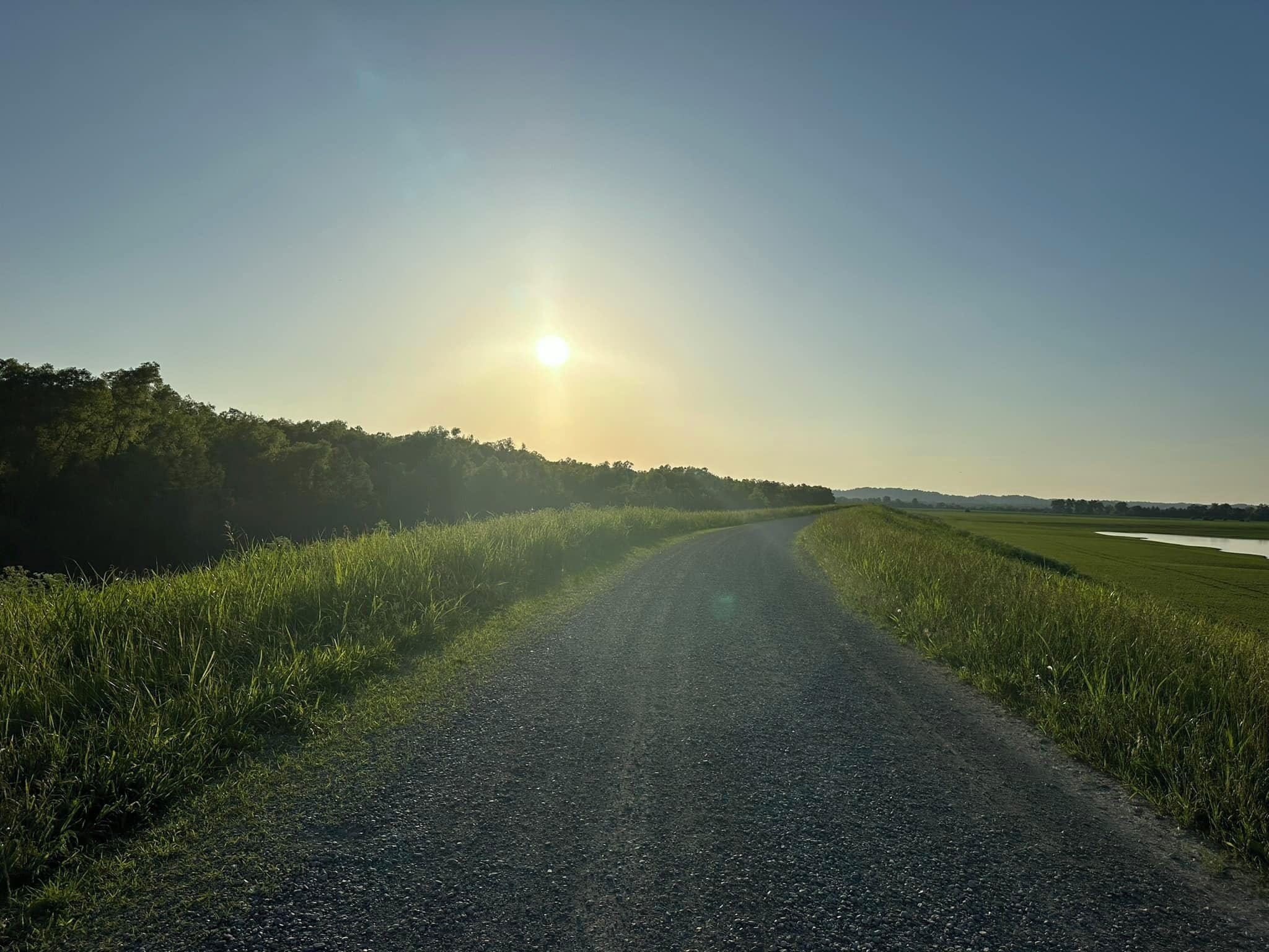 Une route de campagne qui serpente à travers un champ, sous un ciel dégagé, avec le soleil bas à l’horizon.