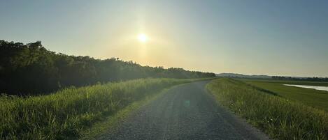 A rural road curving through a field with a clear sky and the sun low on the horizon.