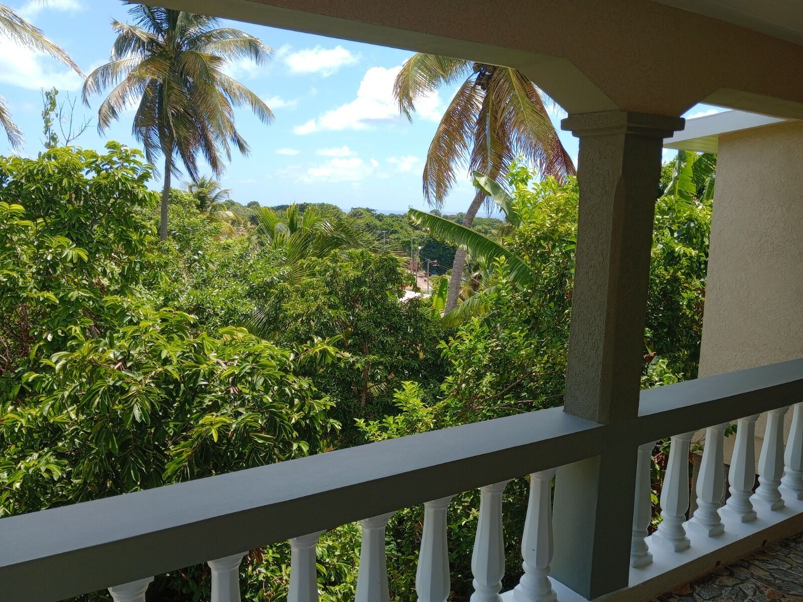 Casa | Áreas de la propiedad