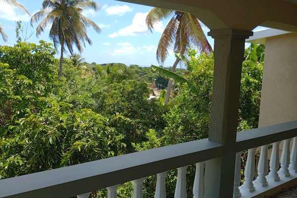 House | Property grounds
