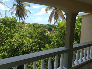 Un balcon offrant une vue sur une végétation tropicale luxuriante et des palmiers.