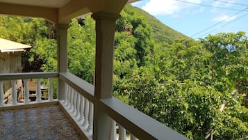 House | Property grounds