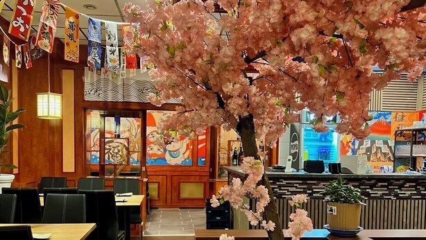 Ein Restaurantinneres mit Holztischen, einer zentral platzierten Kirschblüte und traditioneller japanischer Dekoration.