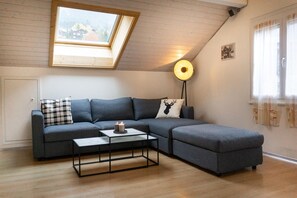 Télévision, cheminée, lecteur de DVD