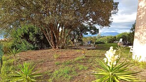 Un jardín con un árbol grande, mobiliario exterior y vistas a montañas distantes.