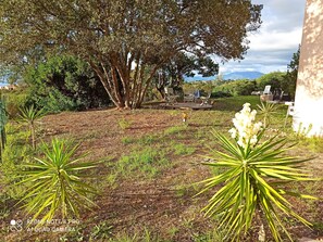 Overnatningsstedets område