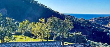 A scenic view of a coastal landscape with a stone wall and metal railing, overlooking a valley and the sea.