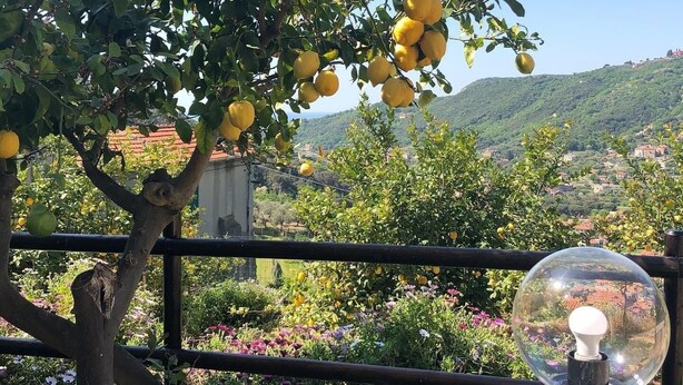 A lemon tree with ripe fruit, a clear sky, and a distant view of a town with buildings and hills. - 1 Bedroom Cottage in Verzi (Verzi)