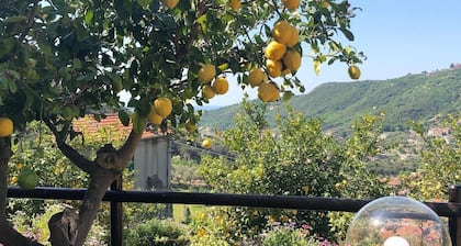 1 Bedroom Cottage in Verzi